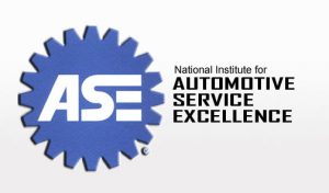 ase_logo - Meineke Florida MDA Meineke Car Care | ASE Certified | Tampa FL